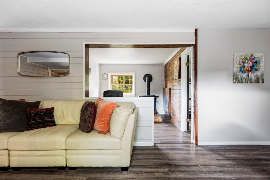 133 Gold Run Road Alma, CO 80420 - Photo 19 of 48