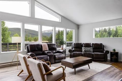 $1,000,000 | 133 Gold Run Road, Alma, CO 80420