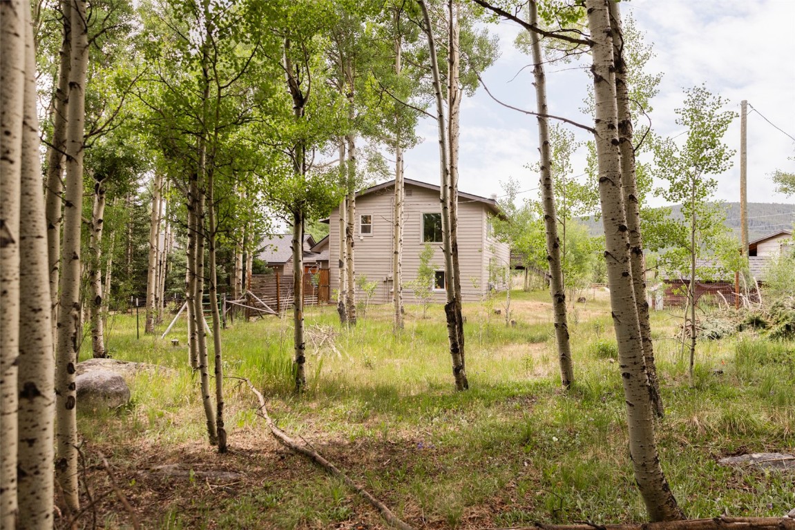 133 Gold Run Road Alma, CO 80420 - Photo 32 of 48