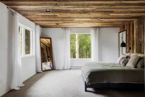 $1,000,000 | 133 Gold Run Road, Alma, CO 80420