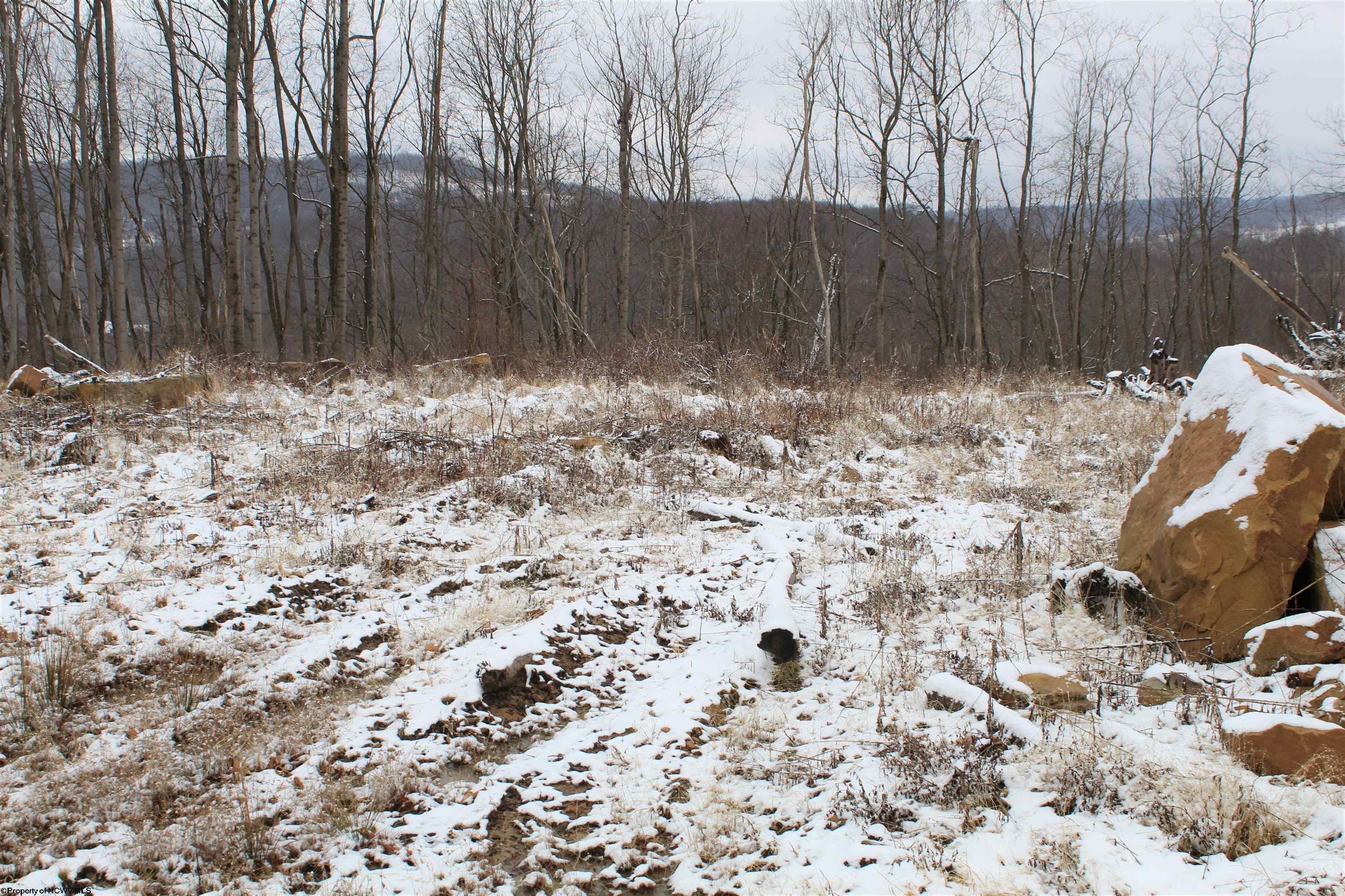7-acres Coal Lick Road Albright, WV 26519 - Photo 2 of 10 Gallery Image 2