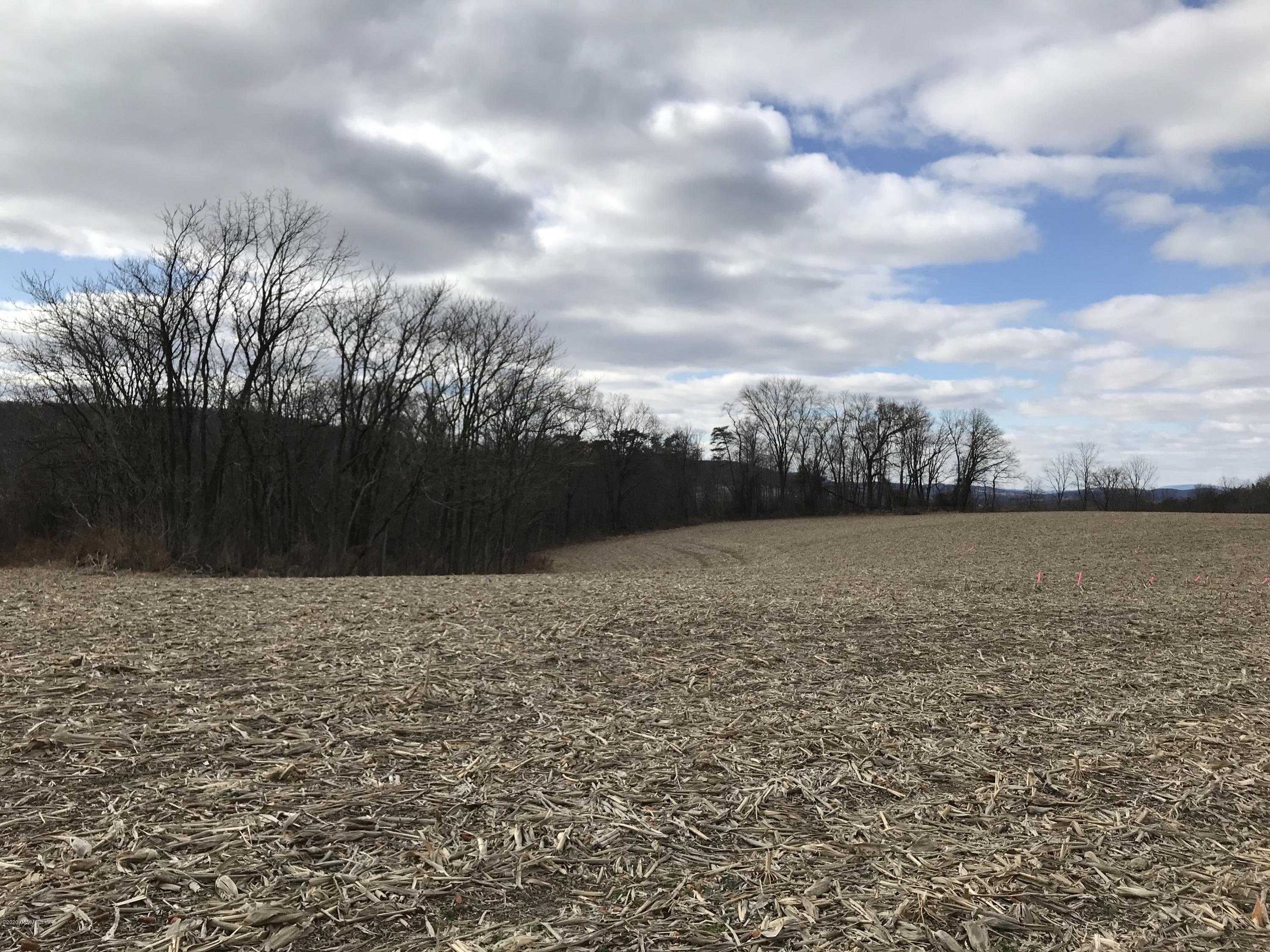 Lot 5 Holly Road Danville, PA 17821 - Photo 11 of 12 Gallery Image 11