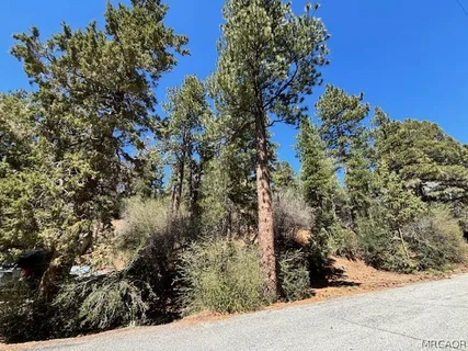 a view of a house with a tree