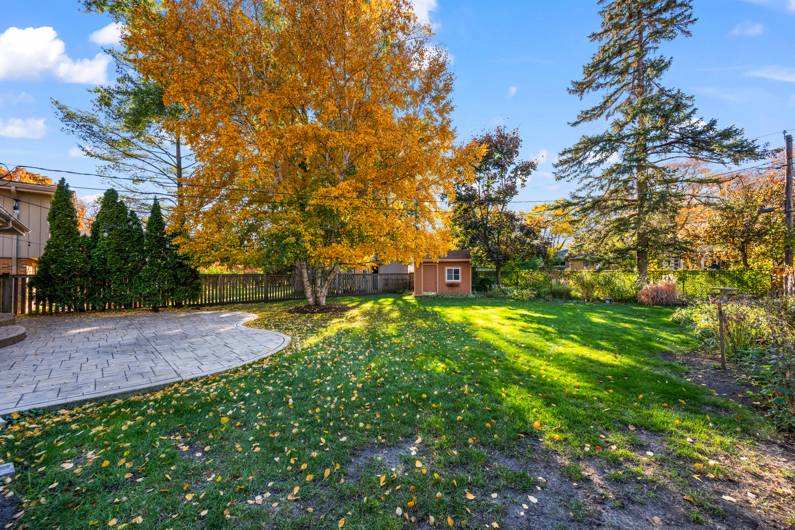 906 South Tower Lane Mount Prospect, IL 60056 - Photo 23 of 24 a view of yard with green space