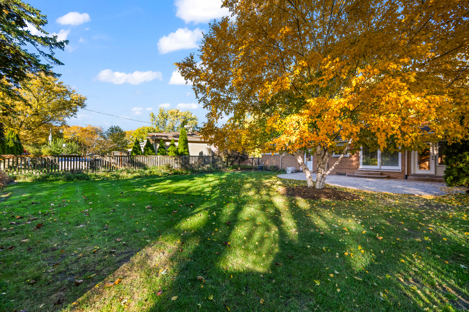 906 South Tower Lane Mount Prospect, IL 60056 - Photo 24 of 24 a view of yard with trees