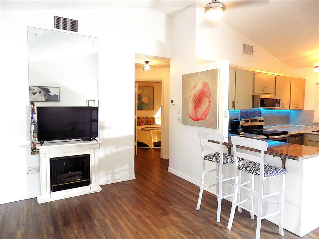 7344 Como Drive New Port Richey, FL 34655 - Photo 7 of 34 a living room with furniture a flat screen tv and a fireplace