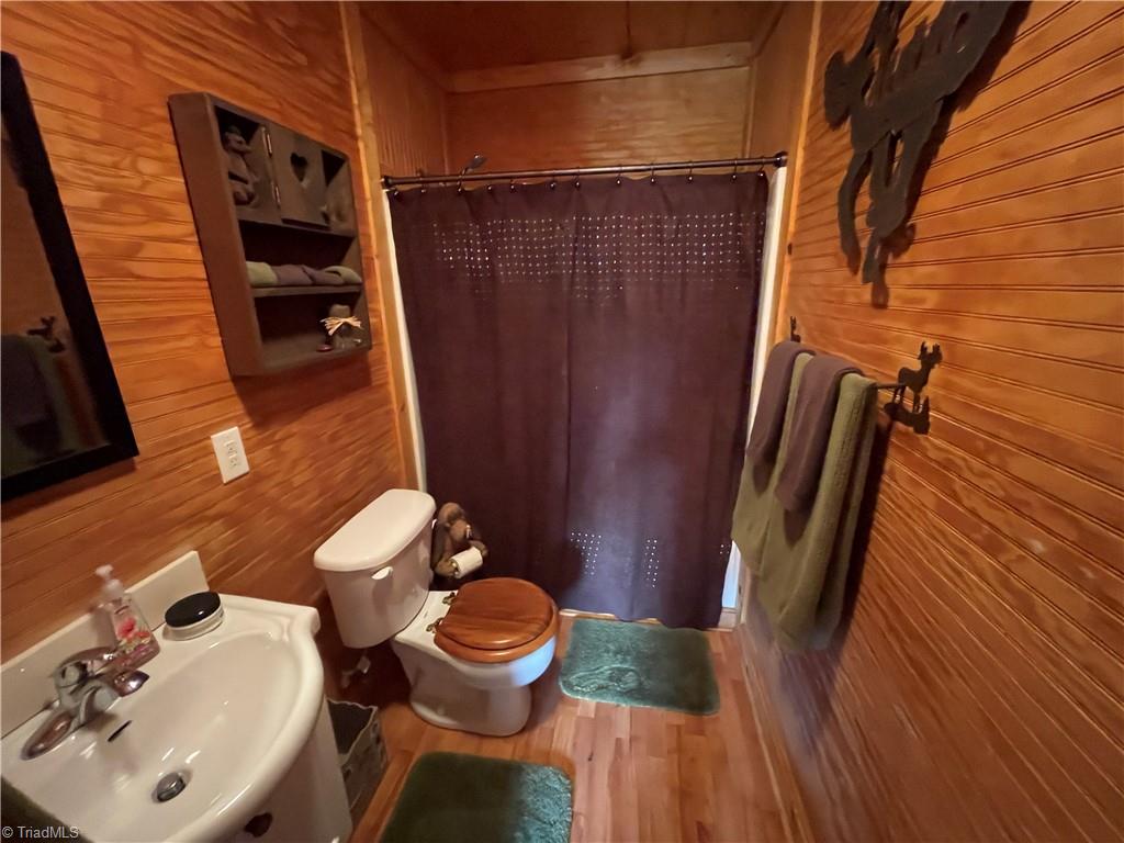 281 Wolf Pen Road Purlear, NC 28665 - Photo 19 of 27