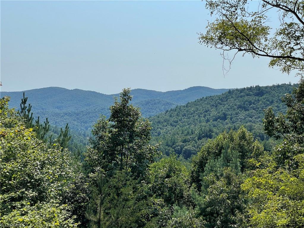 281 Wolf Pen Road Purlear, NC 28665 - Photo 27 of 27