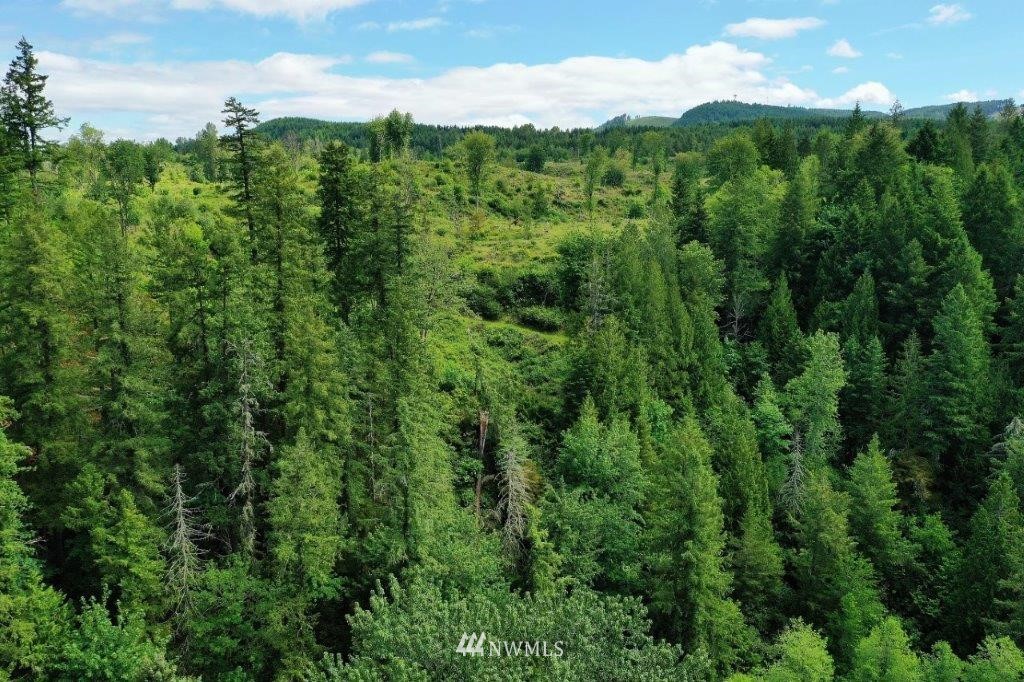 24107 Brooks Road East Orting, WA 98360 - Photo 35 of 40 a view of a city with lush green forest