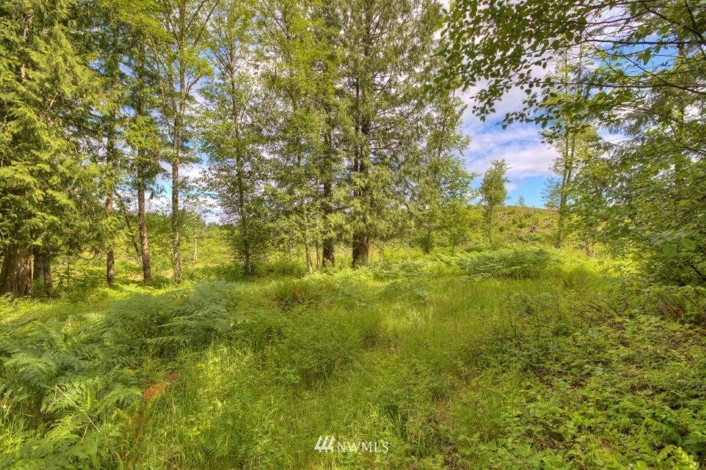 24107 Brooks Road East Orting, WA 98360 - Photo 36 of 40 a view of a yard