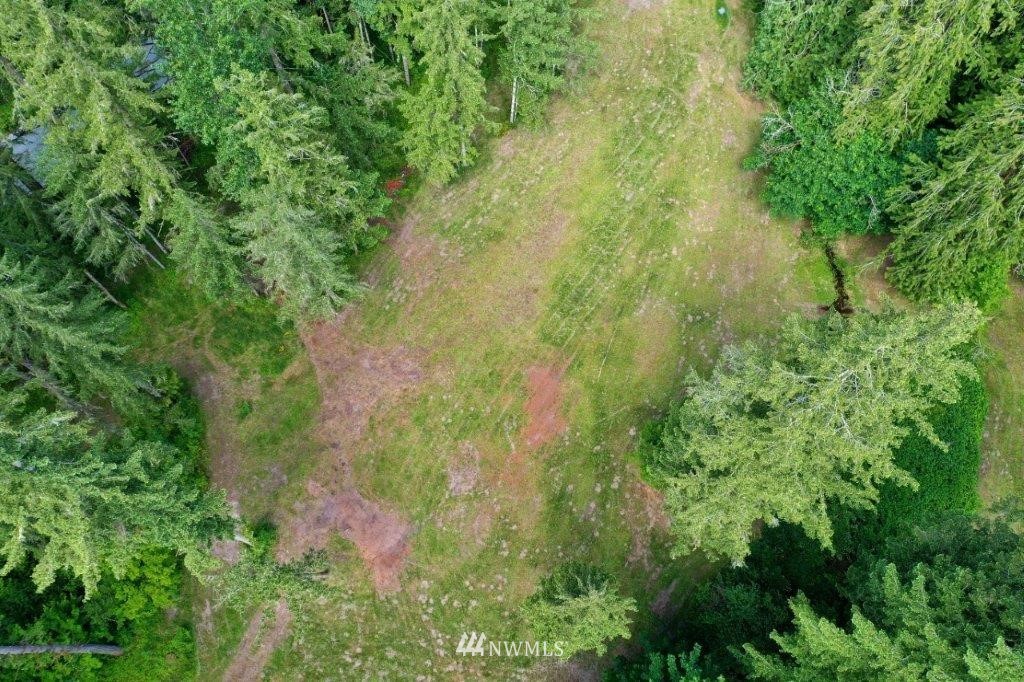 24107 Brooks Road East Orting, WA 98360 - Photo 37 of 40 a view of a forest