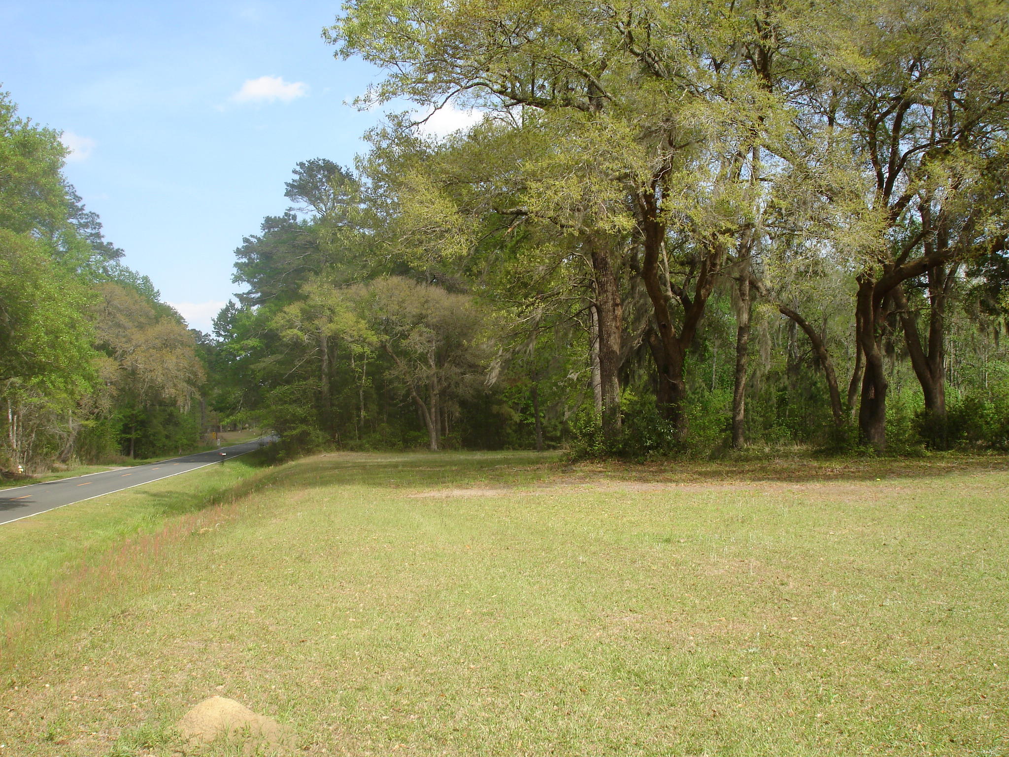 6029 Old Jacksonboro Road Ravenel, SC 29470 - Photo 1 of 12 Curtis NEW 2018 (4)
