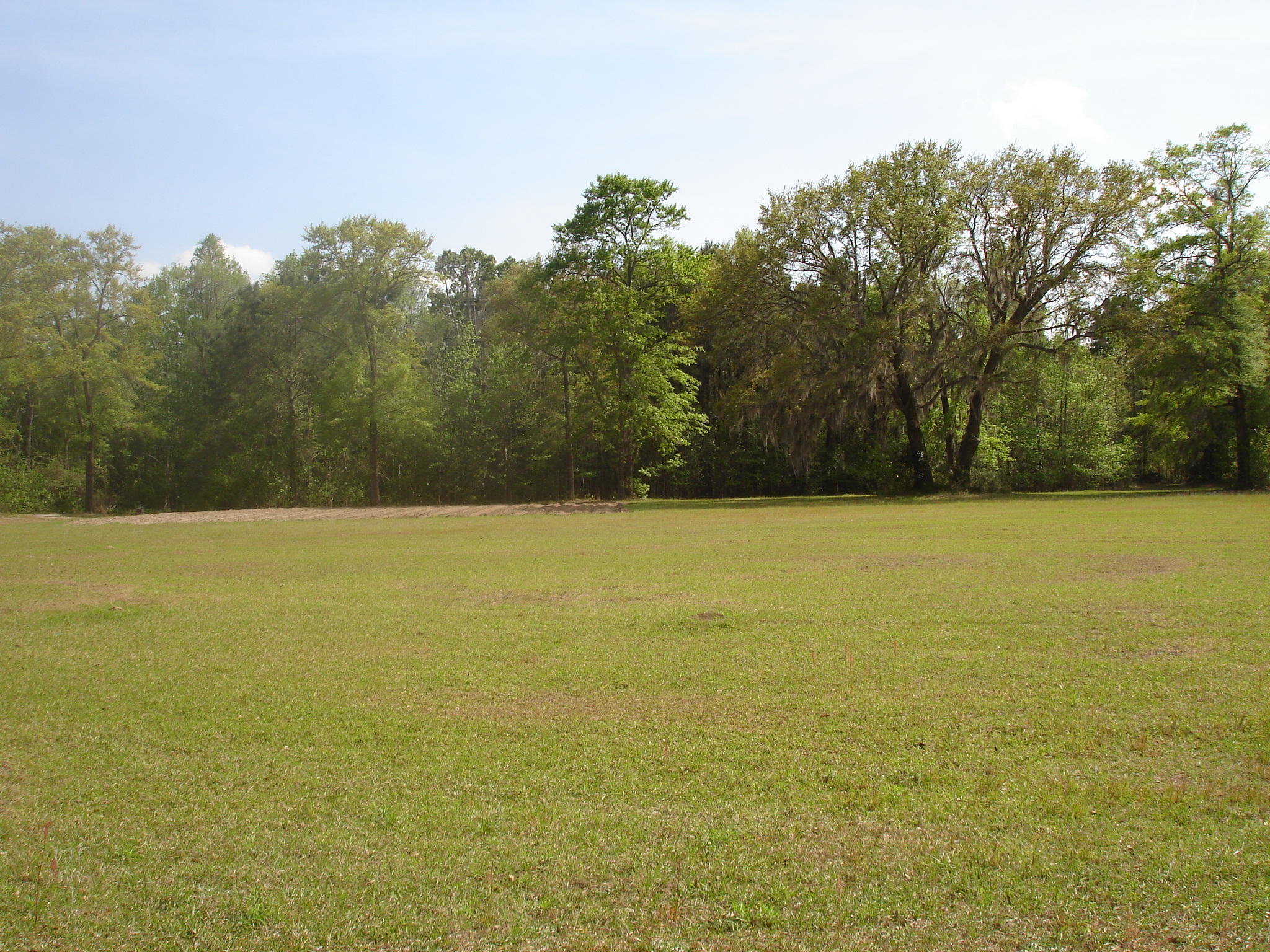 6029 Old Jacksonboro Road Ravenel, SC 29470 - Photo 11 of 12 Curtis NEW 2018 (5)
