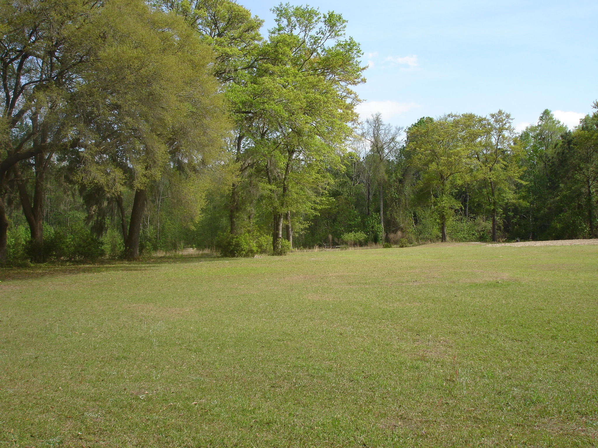 6029 Old Jacksonboro Road Ravenel, SC 29470 - Photo 12 of 12 Curtis NEW 2018 (3)