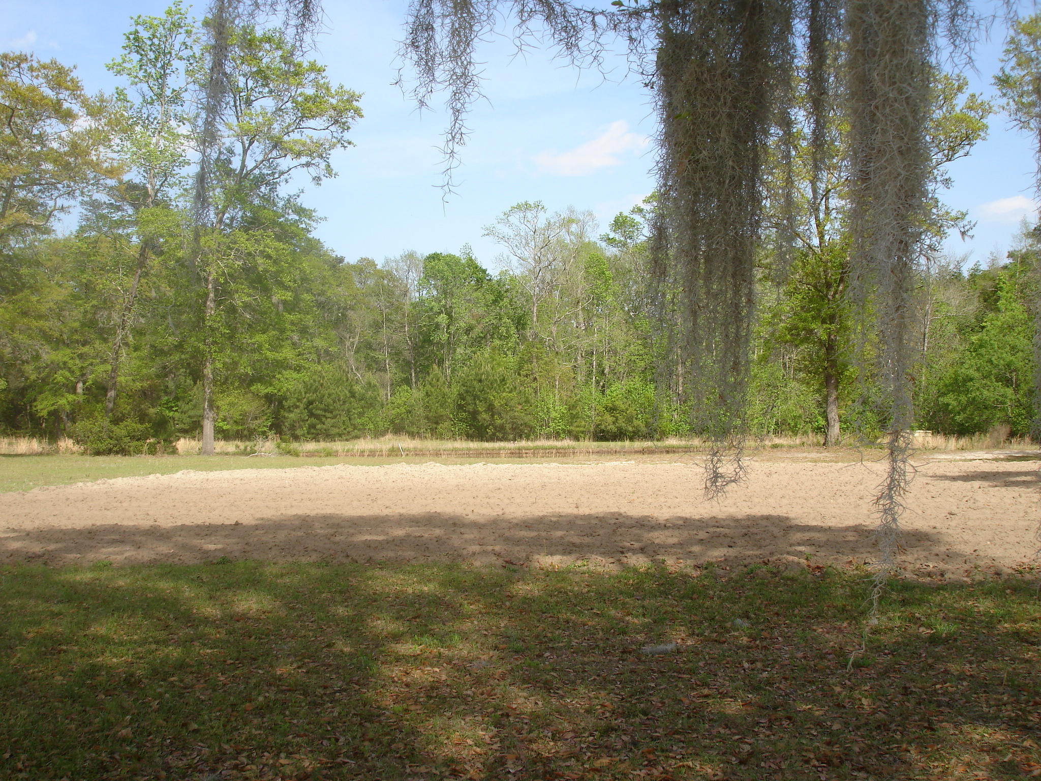 6029 Old Jacksonboro Road Ravenel, SC 29470 - Photo 4 of 12 Curtis NEW 2018 (1)