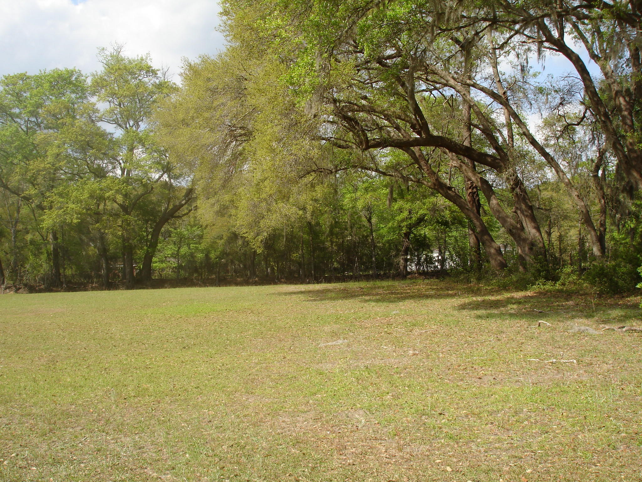 6029 Old Jacksonboro Road Ravenel, SC 29470 - Photo 7 of 12 Curtis NEW 2018 (11)