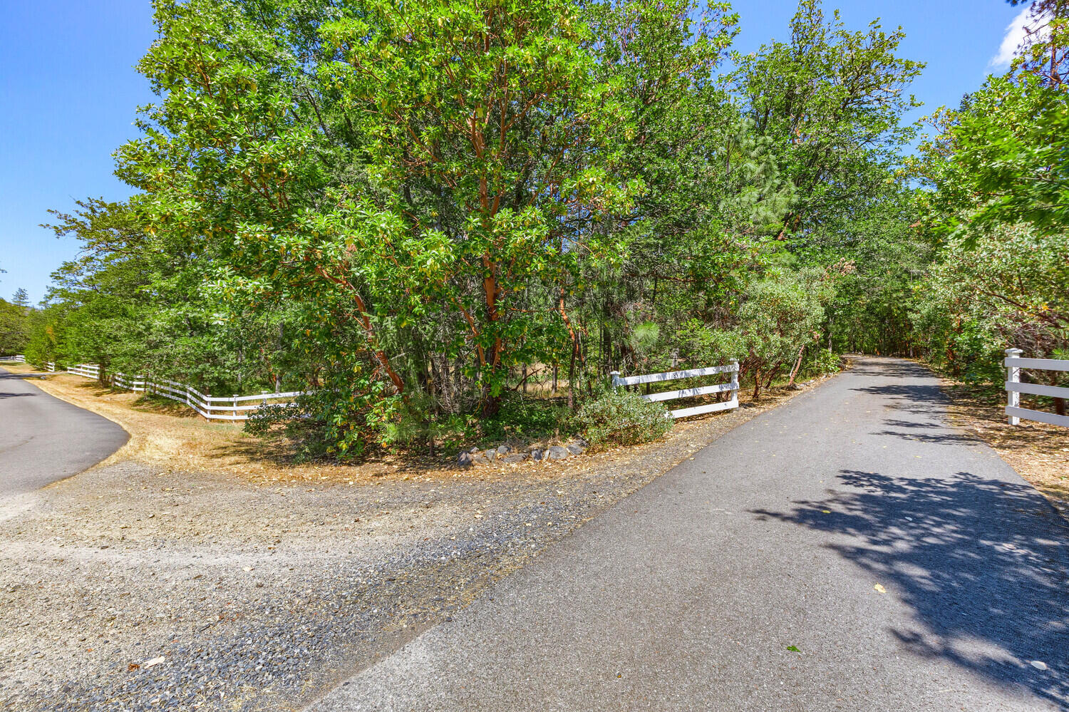 85 Anna Laura Road Jacksonville, OR 97530 - Photo 57 of 60