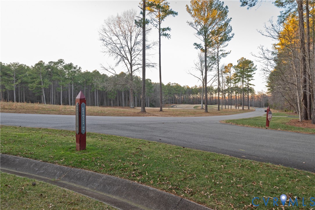 2591 Shaughnessy Road Powhatan, VA 23139 - Photo 4 of 50 a big yard with lots of green space and trees