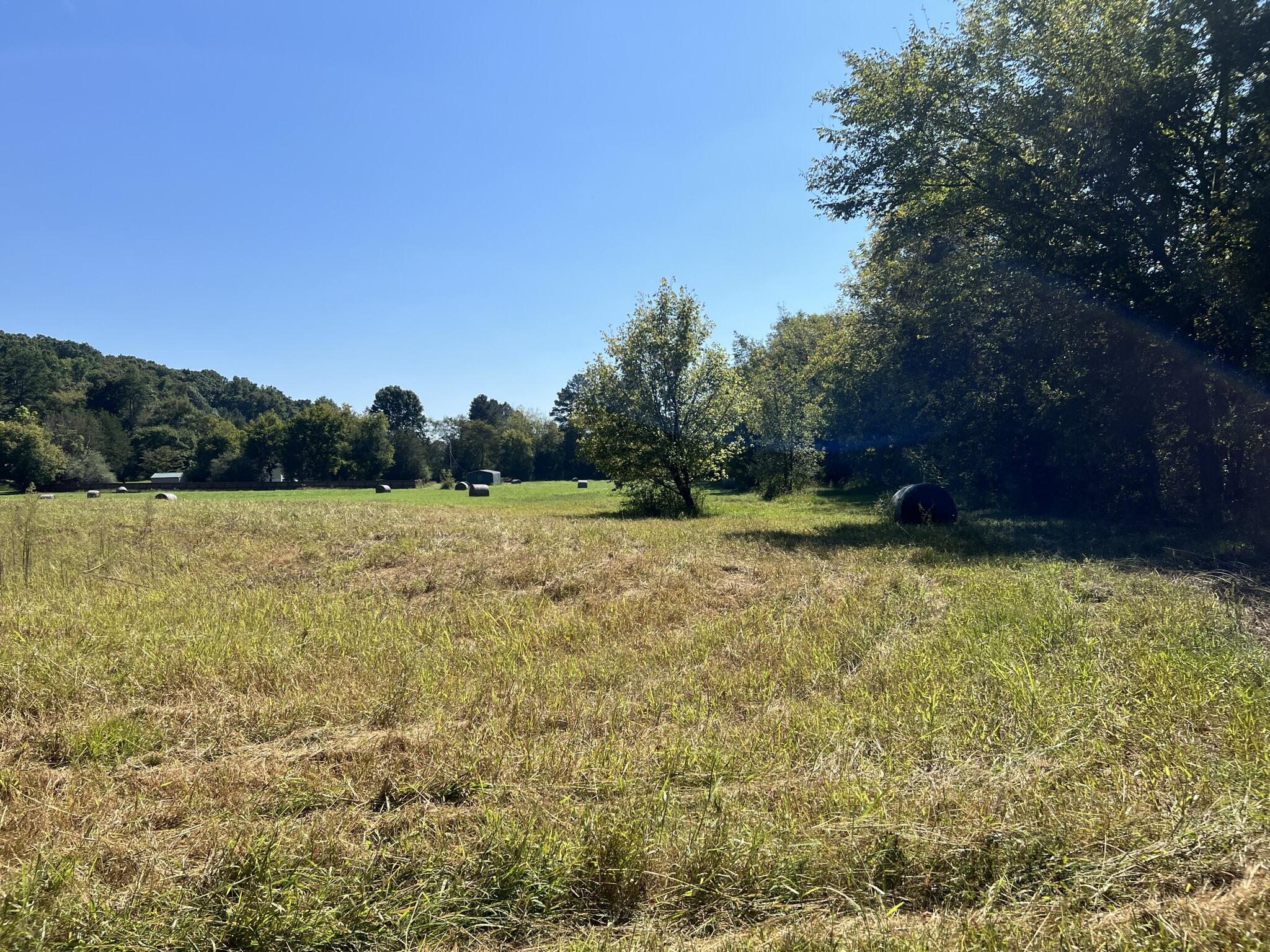 143 Stubblefield Road Ringgold, GA 30736 - Photo 11 of 15 IMG_0442