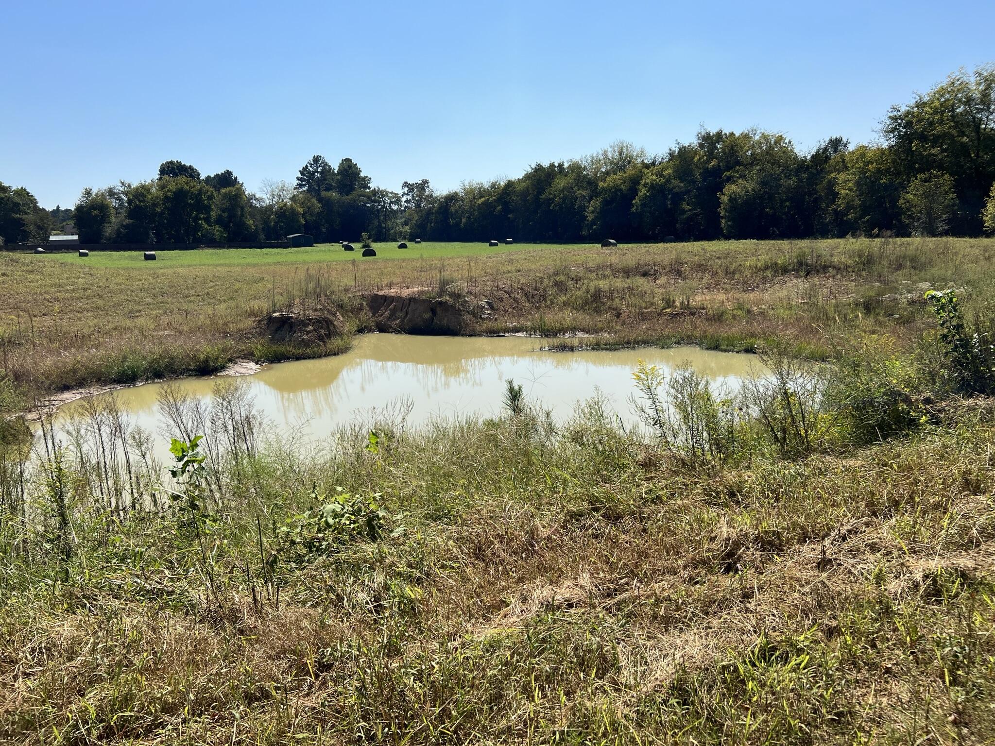 143 Stubblefield Road Ringgold, GA 30736 - Photo 12 of 15 IMG_0443