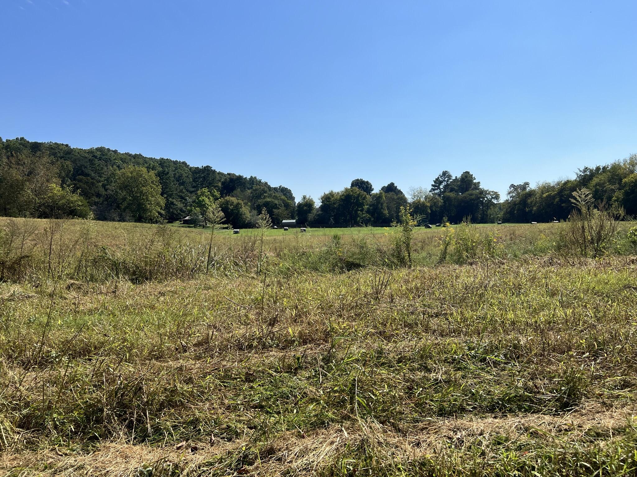 143 Stubblefield Road Ringgold, GA 30736 - Photo 8 of 15 IMG_0439