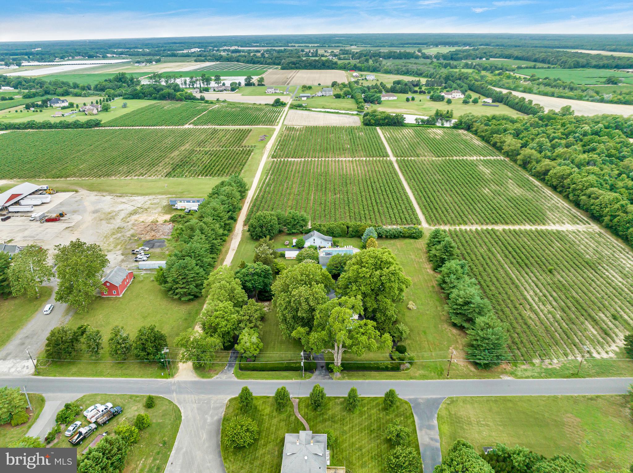 235 Pine Road Hammonton, NJ 08037 - Photo 8 of 67