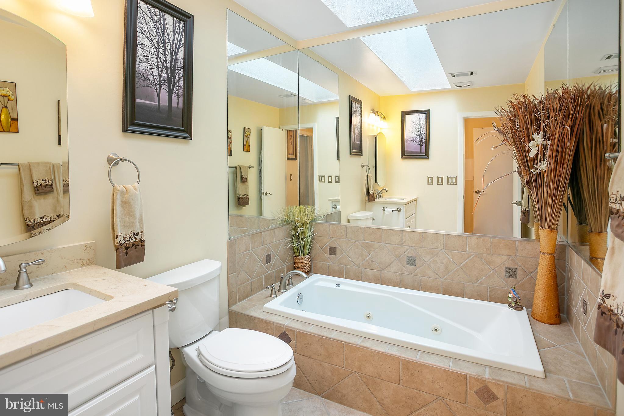 2213 Cedar Cove Court Reston, VA 20191 - Photo 12 of 40 a bathroom with a tub a sink a mirror and a shower