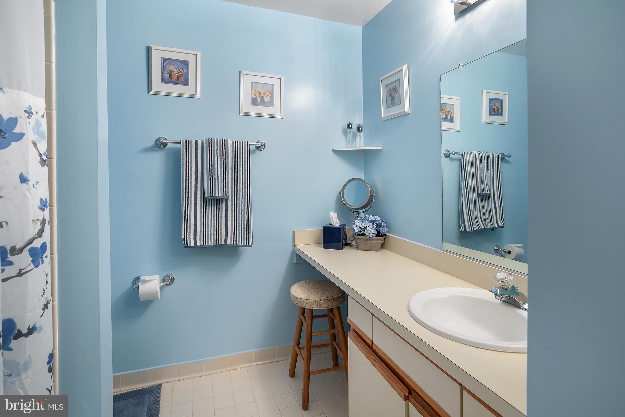 2213 Cedar Cove Court Reston, VA 20191 - Photo 16 of 40 a bathroom with a sink vanity and mirror