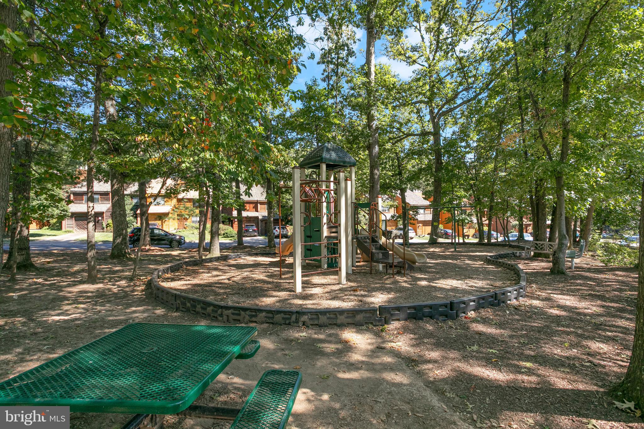 2213 Cedar Cove Court Reston, VA 20191 - Photo 36 of 40 a view of a park with tree s