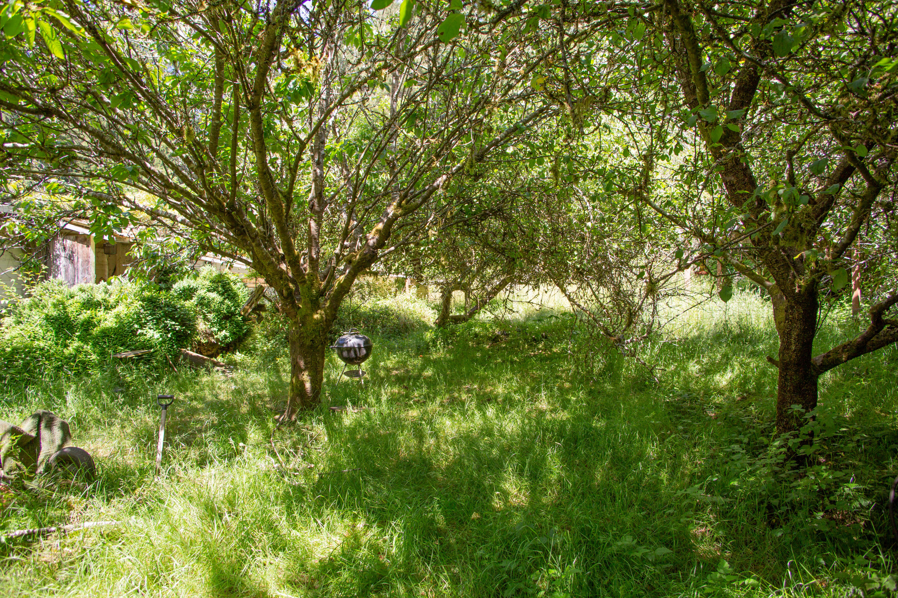 2095 Arthur Road McKinleyville, CA 95519 - Photo 22 of 29