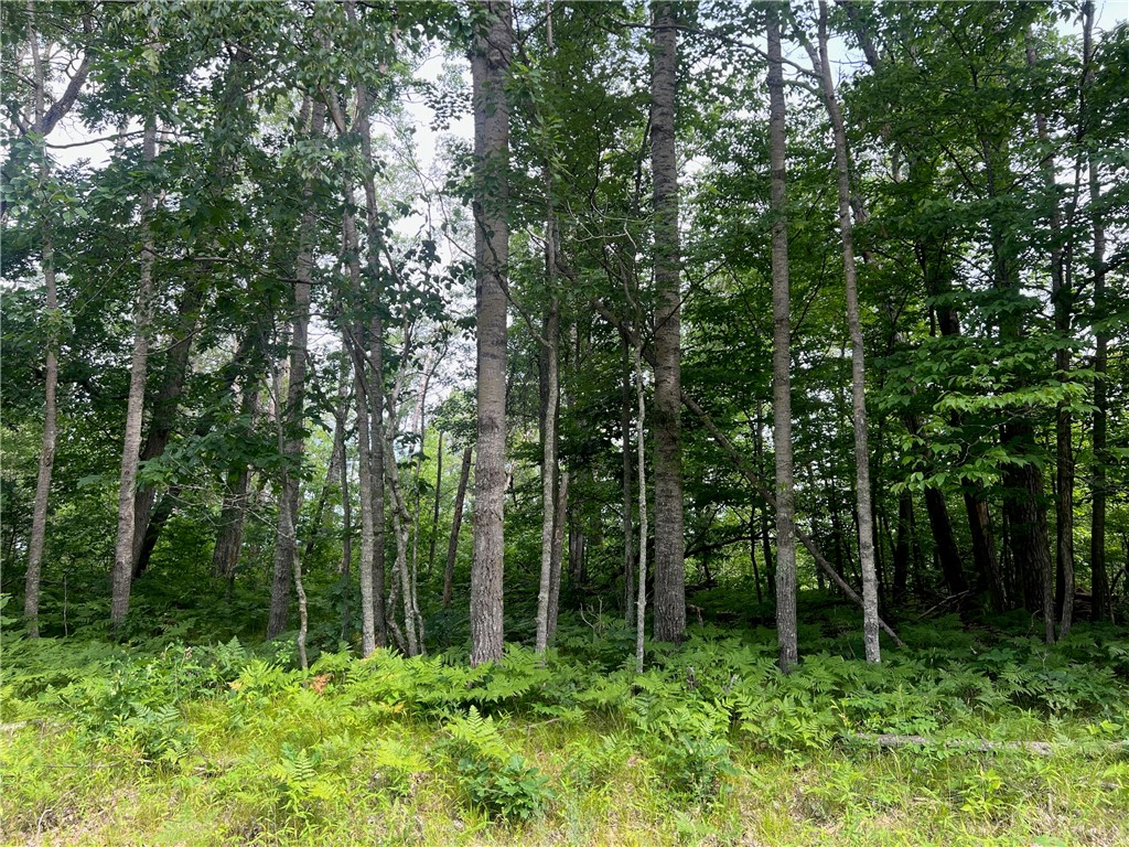 Lot 57 Spotted Fawn Road Danbury, WI 54830 - Photo 2 of 15