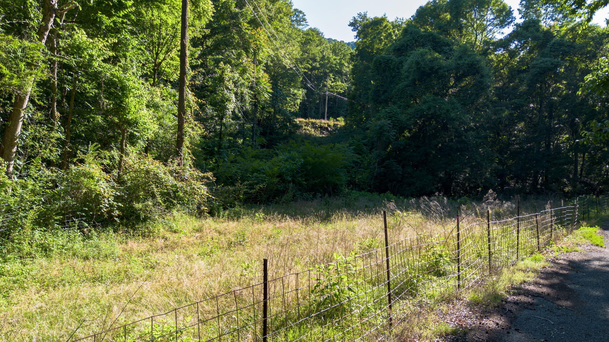 364 Gregg Road Dunlap, TN 37327 - Photo 4 of 23