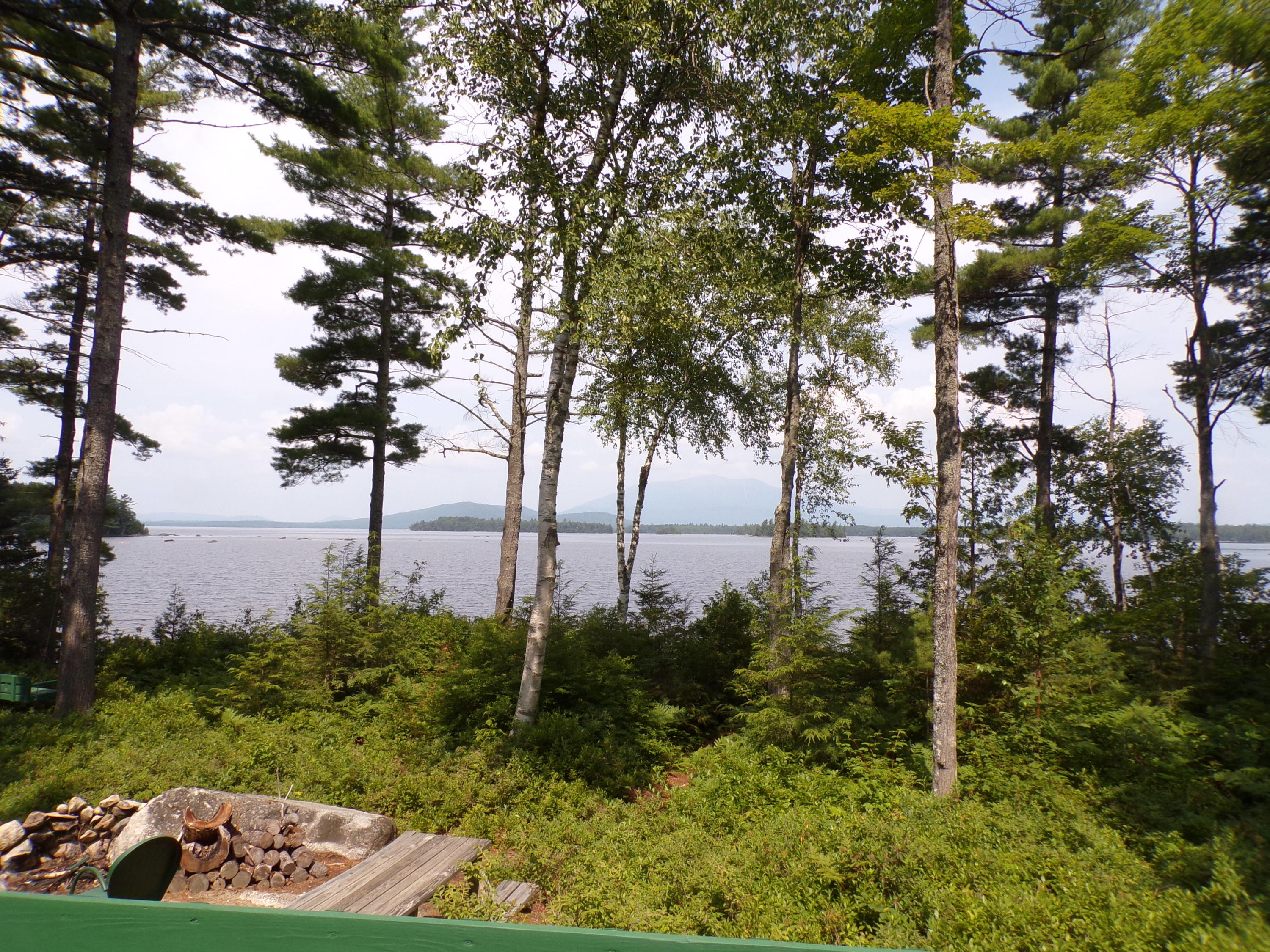 72 Puckerbrush Trail Millinocket, ME 04462 - Photo 13 of 48 View from swing-oops, cut off swing