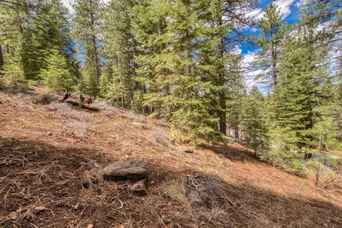 $160,000 | 15675 Donnington Lane, Truckee, CA 96161