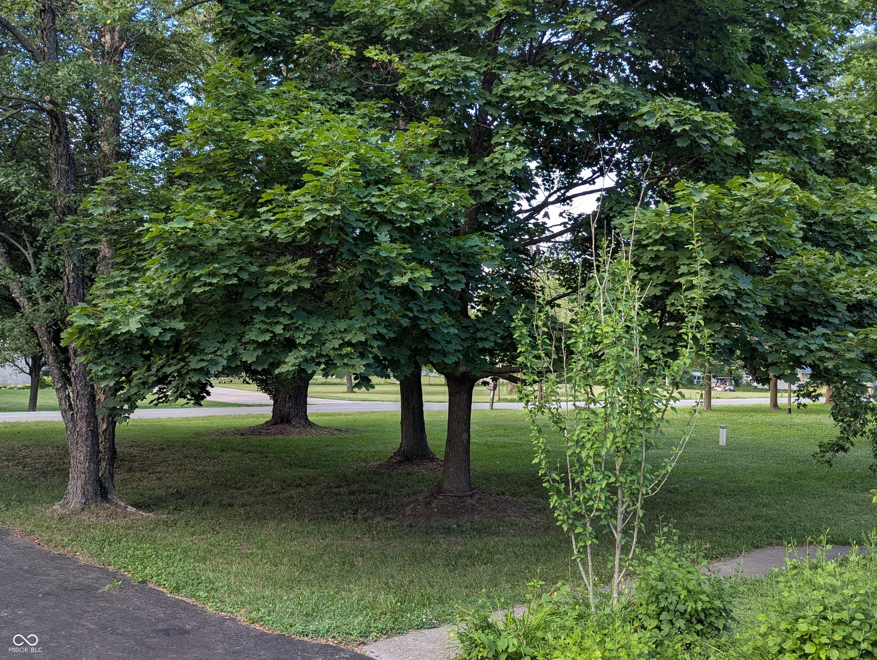 8923 Maze Road Indianapolis, IN 46259 - Photo 19 of 32 Gallery Image 19