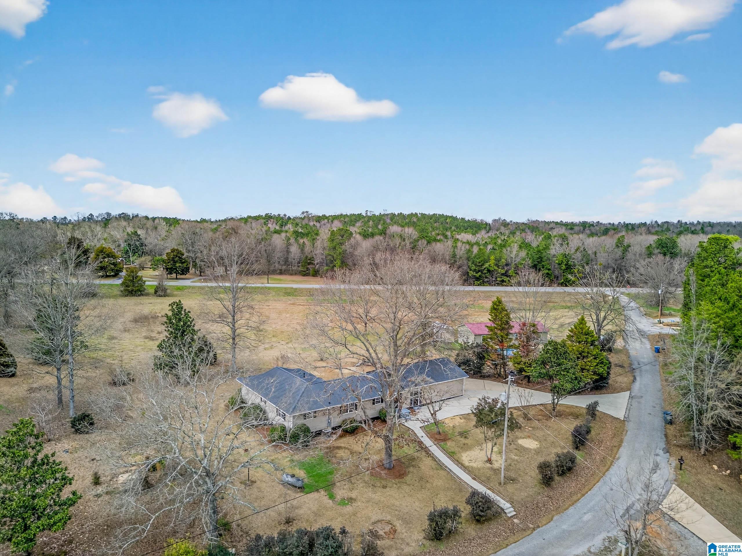 112 Meadowview Circle Munford, AL 36268 - Photo 5 of 39