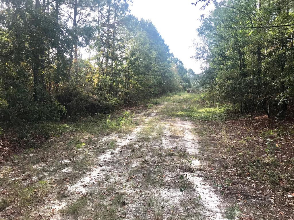 Lot#13-19 Holder Road Batesburg, SC 29006 - Photo 2 of 18