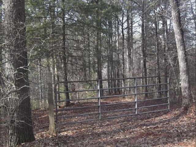 0 River Way, Unit LOT 15 Blue Ridge, GA 30513 - Photo 1 of 1 a backyard of a house