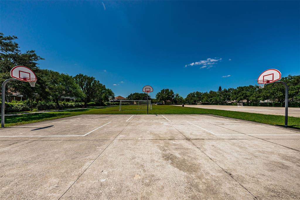 1821 Alvara Place Trinity, FL 34655 - Photo 54 of 63