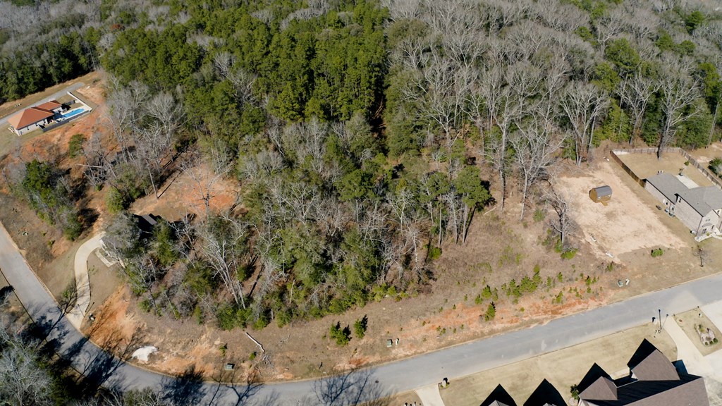 143 Old Village Road Ozark, AL 36360 - Photo 7 of 16