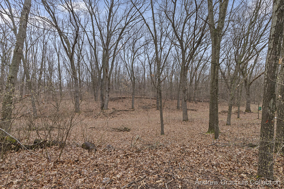 2188 Buehler Road Hastings, MI 49058 - Photo 23 of 27 IMG_1028 (2)