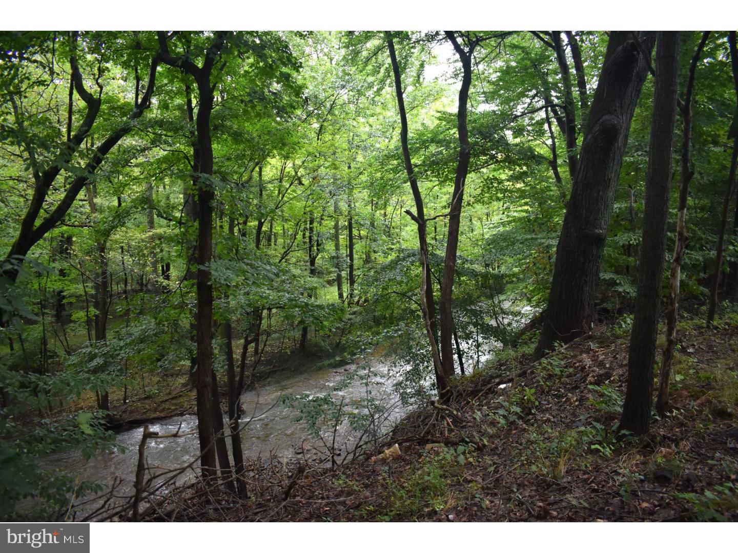 710 Ahrens Road Reading, PA 19606 - Photo 20 of 20 Back Yard