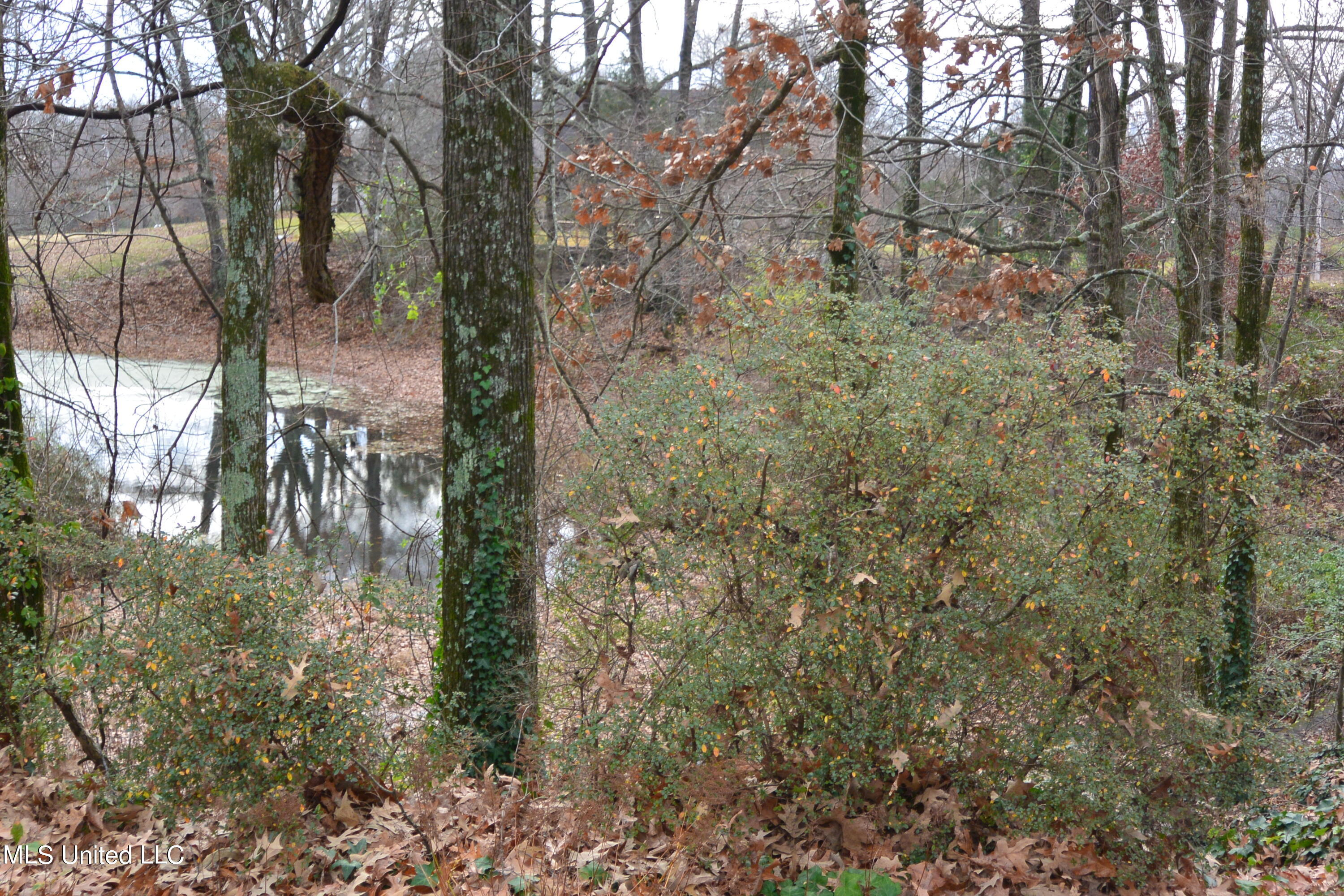 1170 Wooten Road Nesbit, MS 38651 - Photo 19 of 20 LAKE IN BACKYARD
