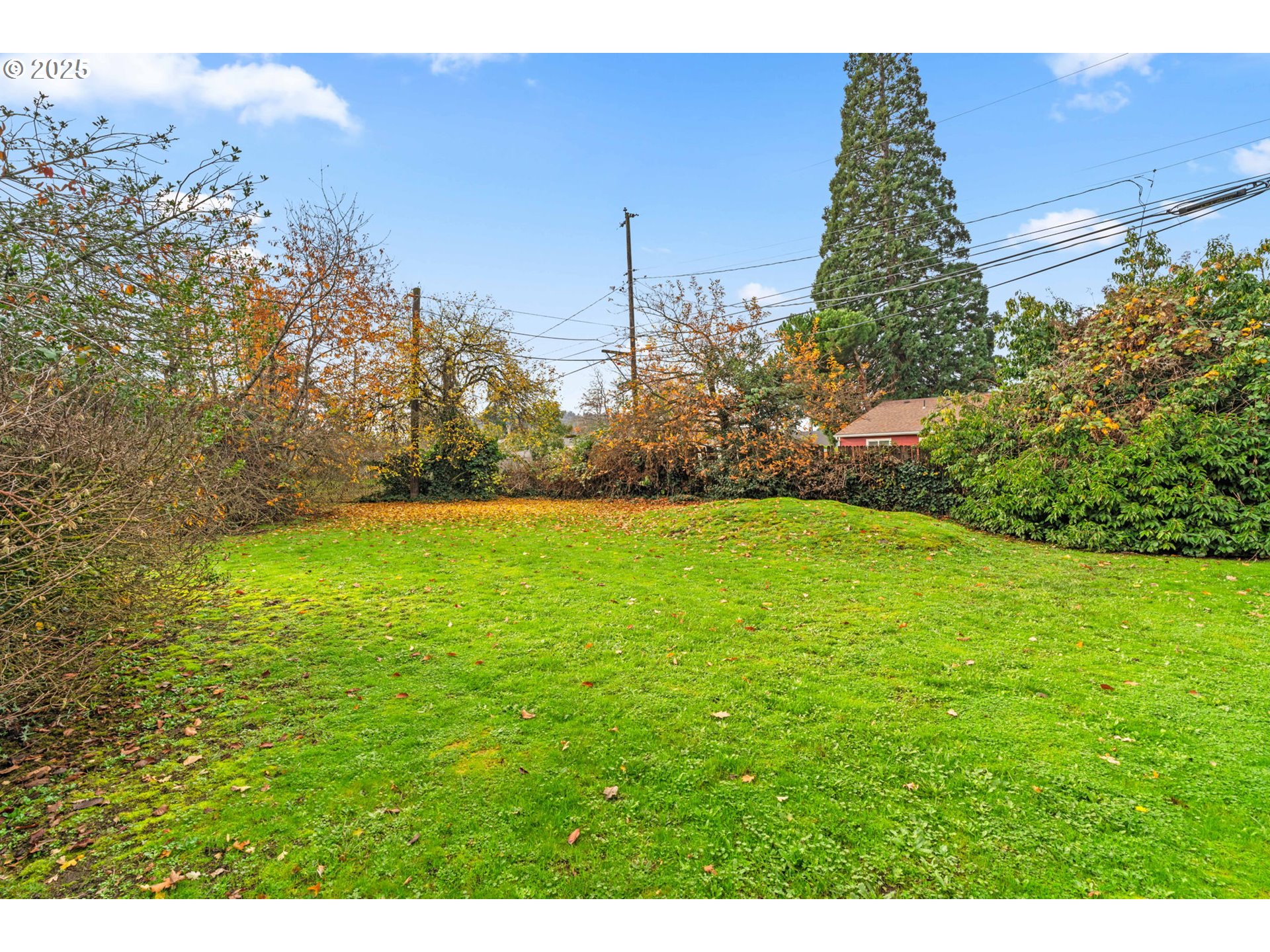 2665 C Street Springfield, OR 97477 - Photo 19 of 20 a view of a yard with a house in the background