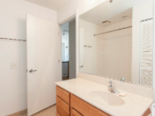 1255 South State Street, Unit 1309 Chicago, IL 60605 - Photo 11 of 20