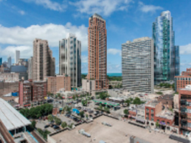 1255 South State Street, Unit 1309 Chicago, IL 60605 - Photo 3 of 20