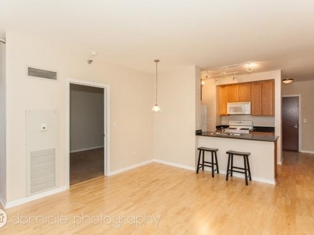 1255 South State Street, Unit 1309 Chicago, IL 60605 - Photo 6 of 20