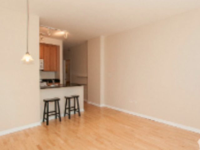 1255 South State Street, Unit 1309 Chicago, IL 60605 - Photo 7 of 20
