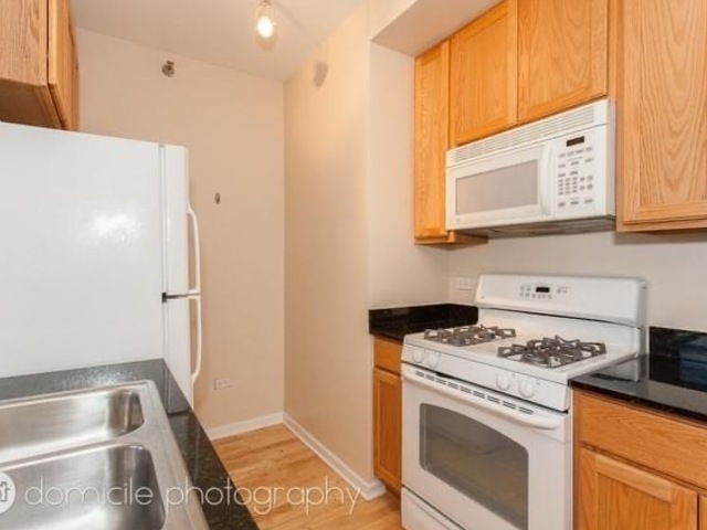 1255 South State Street, Unit 1309 Chicago, IL 60605 - Photo 9 of 20