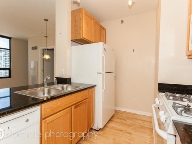 1255 South State Street, Unit 1309 Chicago, IL 60605 - Photo 10 of 20